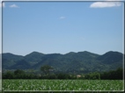 foto Colline tra Fonte Alto e Paderno del Grappa